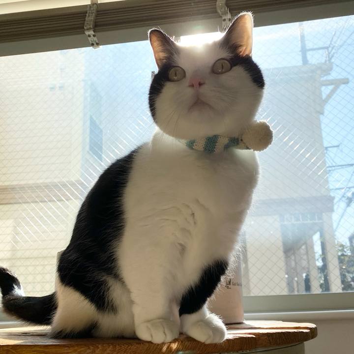 C79c1a3e f006 4400 9199 7076f87deba4 1769642078229