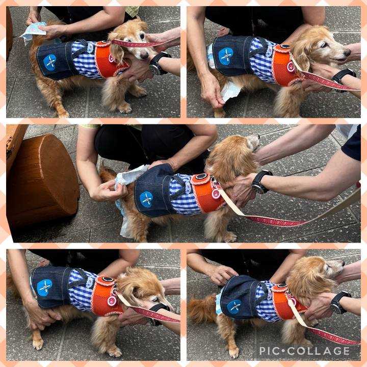 C79c3045 fc1f 4782 a9d2 e632e98d05de 1658320096672