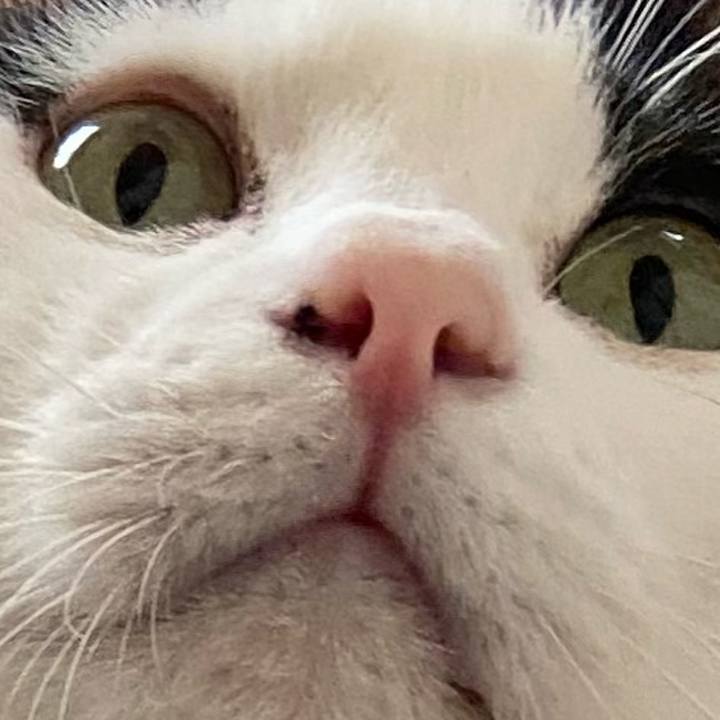 C79c39b9 f391 4b27 9ffc 3a152c8fab19 1588373336138