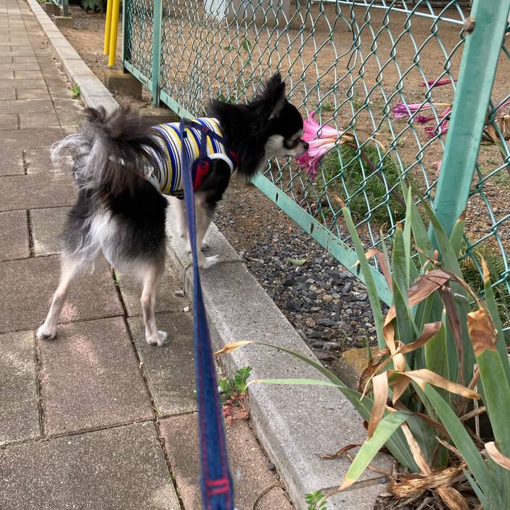 C79c5eb3 fd8c 4a7c 97f5 4d250ae4d0bd 1696776825803