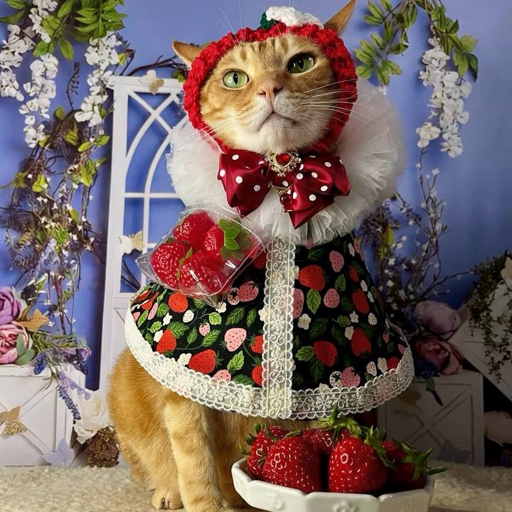 C79c9029 f674 457a b6a9 1e4faf8634a6 1746744154071