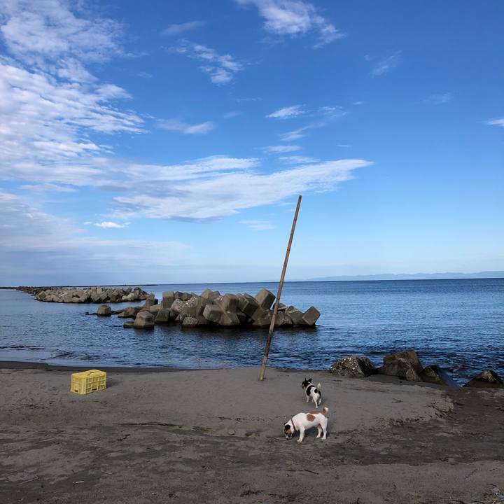 C79c96fb c610 425e bf5c 9005c1a0a699 1535931368430