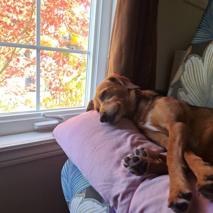 C79d0fbd 4ccf 4857 9b4a c19d9140b917 1763156453706