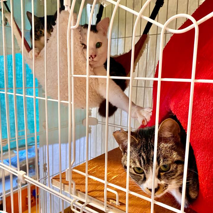 C79d1d38 60b4 4dc4 93c5 15e9045f8f43 1705737761081