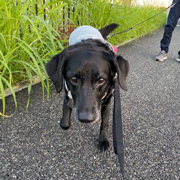 C79d24e8 2817 49f0 9d60 9b08f846adc1 1601972618358