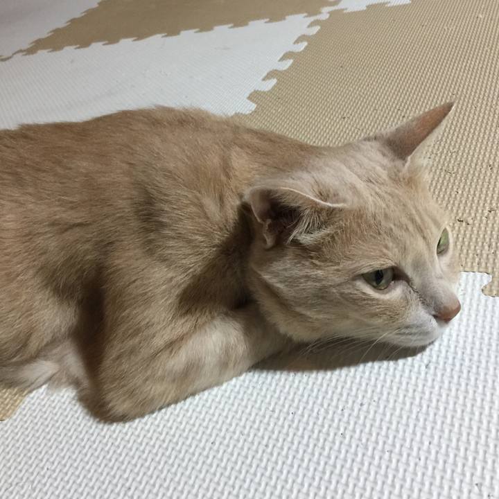 C79d74ab 5c38 41a3 b9c4 19504590b7c0 1624969833854