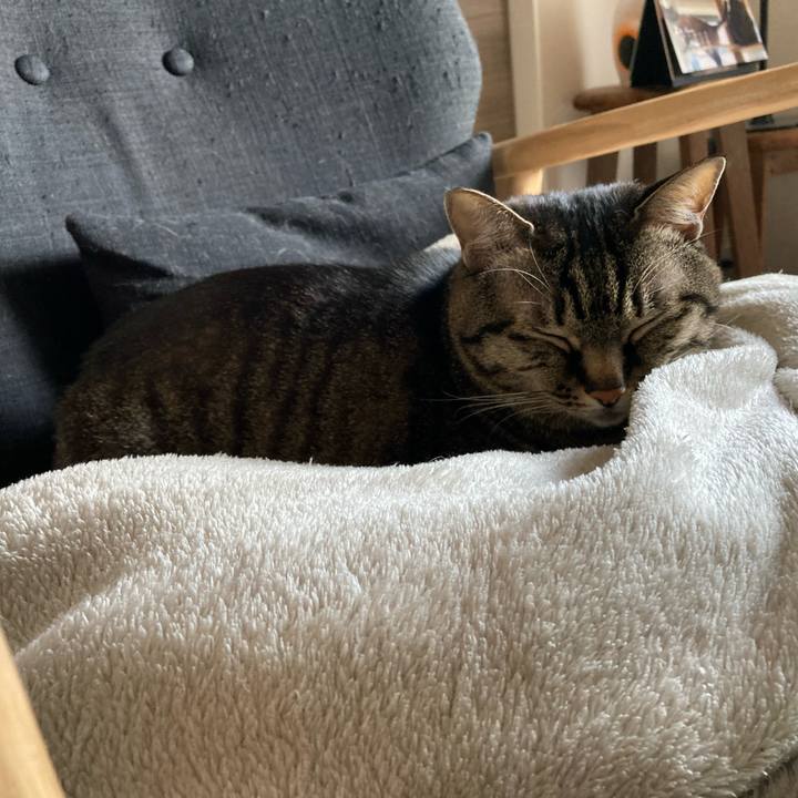 C79d8363 1eb1 4831 9451 a0d8af0e36cf 1675297431915