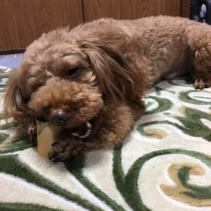 C79da056 ffcb 4ba9 9082 6a9f70109b14 1534379791703