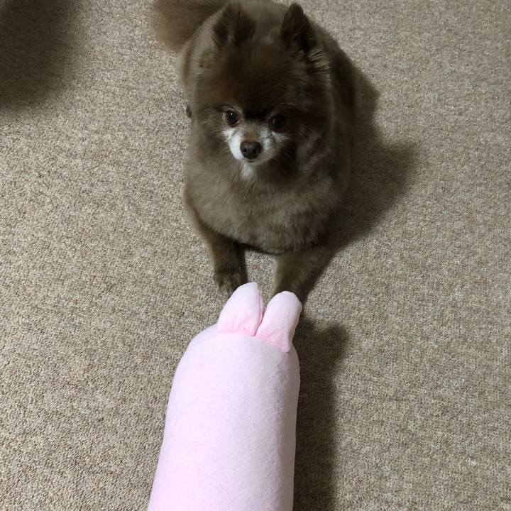 C79dc42b 96e9 4db9 bae5 13e694edbb61 1637652493927