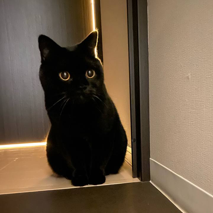 C79ddfba f0fe 4f7a 9ba4 c180e1391748 1733736284239