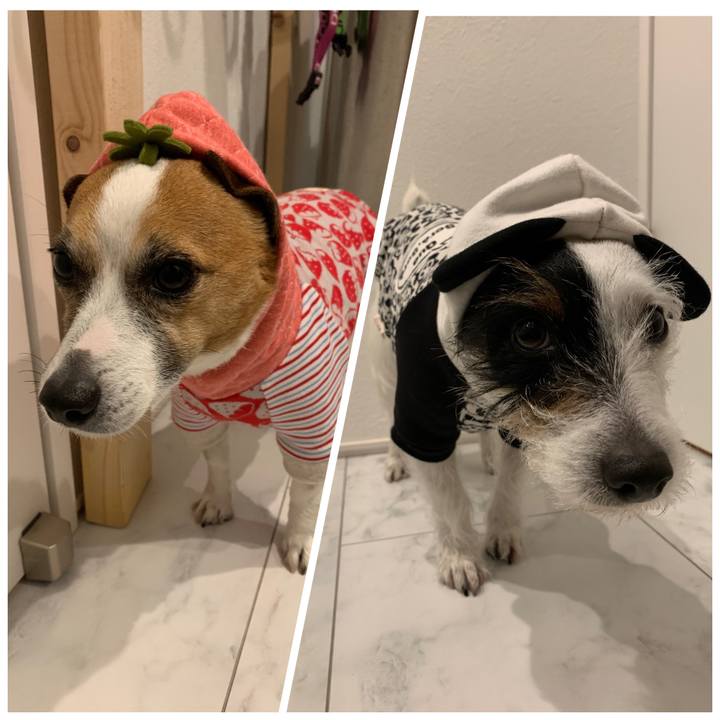 C79ded53 f403 452a 9b71 ca22651e8d2e 1553503631146