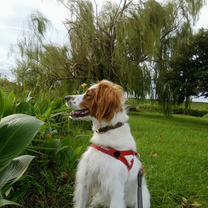 C79e32eb a332 4ce0 8c4d 0badc8594e10 1536397272763