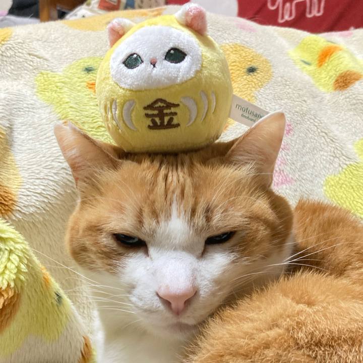 C79e3be8 e24a 42fa 8c7e 3d3229a910dd 1772379535750