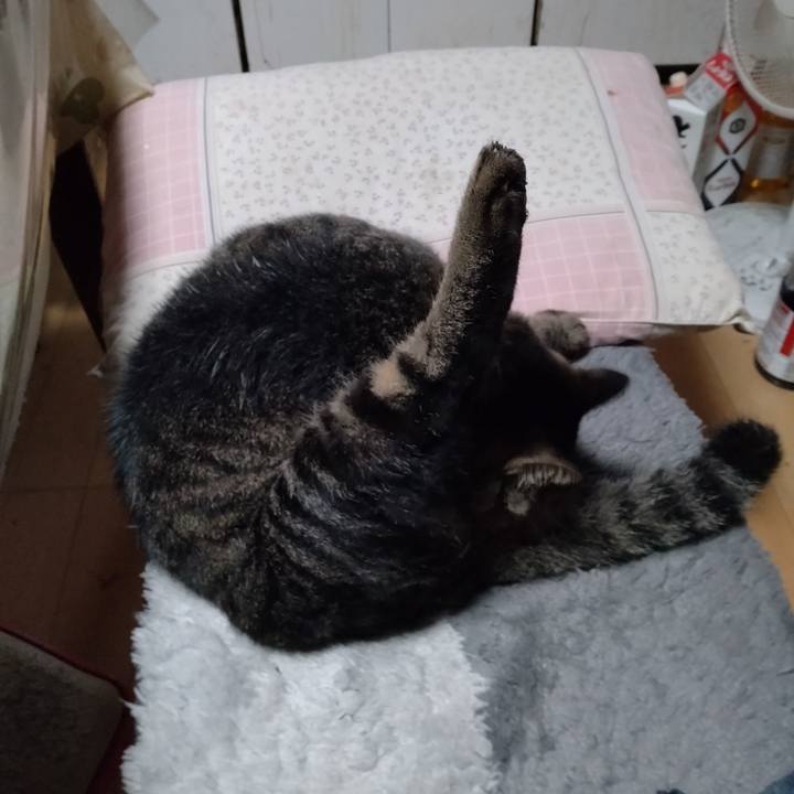 C79e4630 2a1d 4f7e 8a9c 473413fb9063 1668983739509