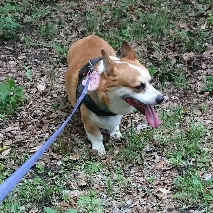 C79edff6 47d2 44b0 b830 5be1a95ceb1c 1660319066841