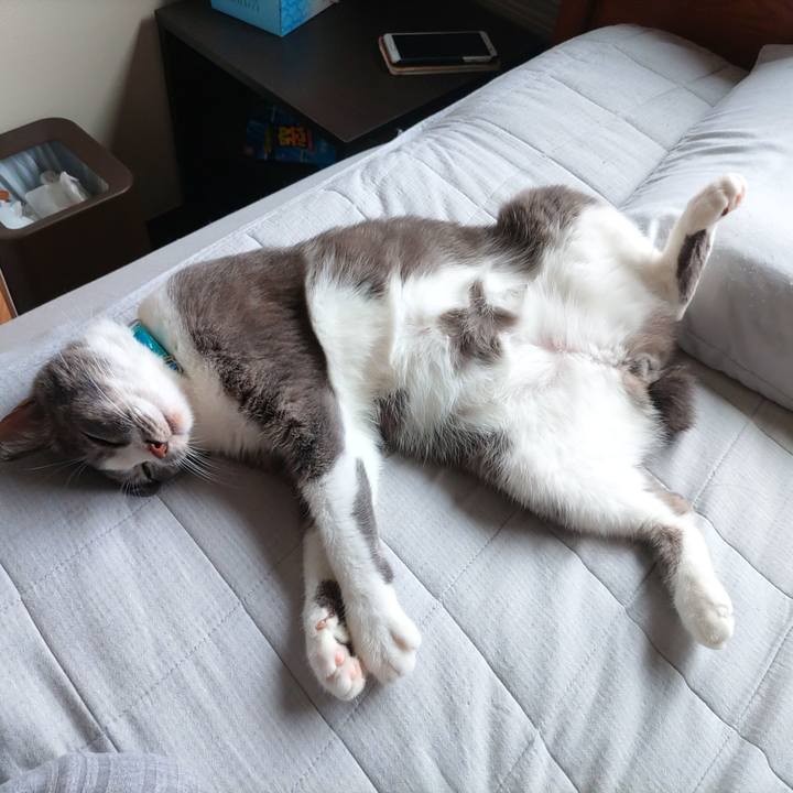 C79ef5e7 818e 492e b7f0 55b274d4a158 1660345858755