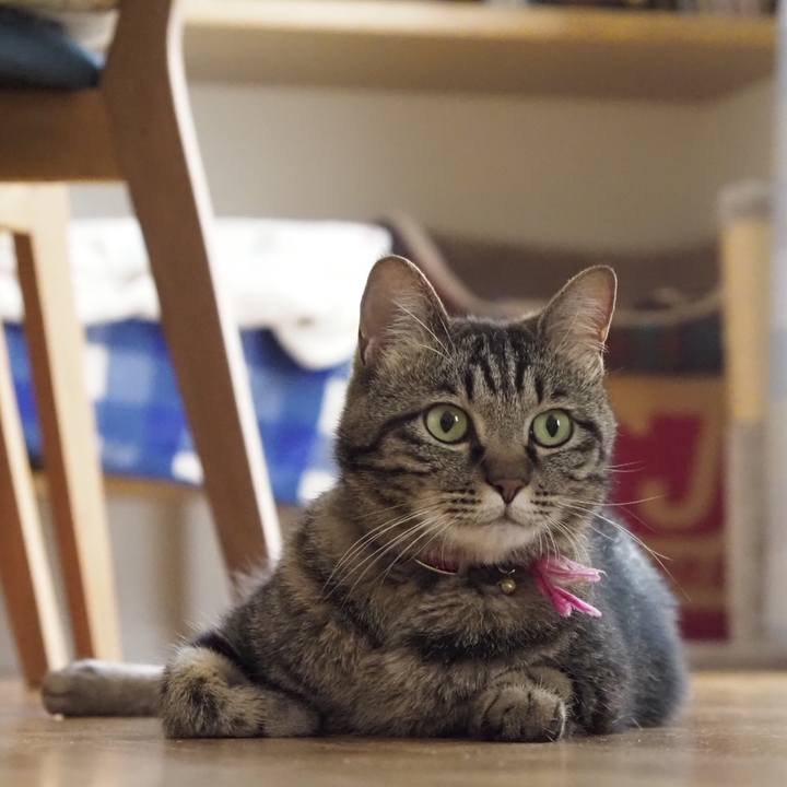 C79f0700 47bb 47d4 aa8a 341410b36608 1624687100071