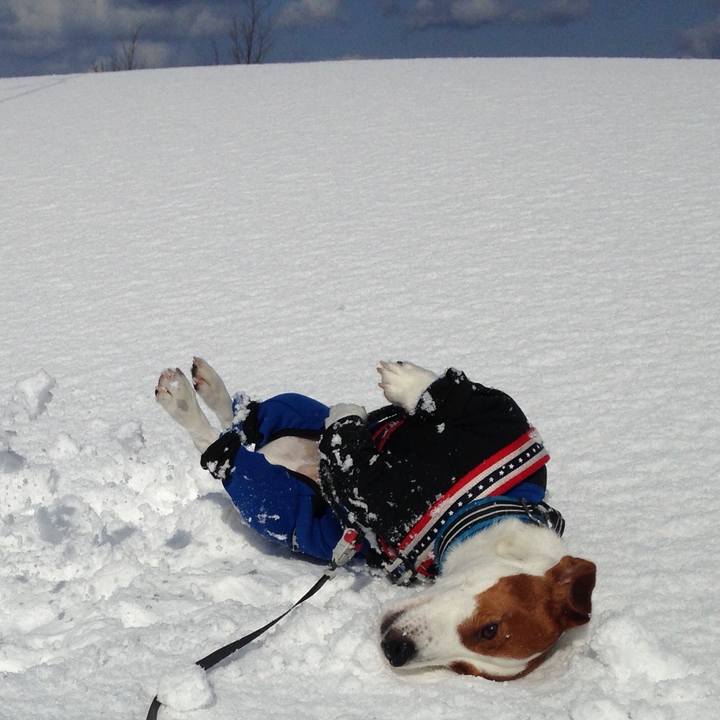 C79f205c b596 45e3 8647 083567b1201c 1517041086492