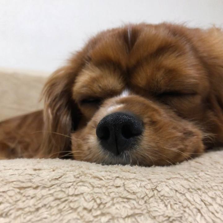 C79f30b9 147e 41f0 9534 9204b9058fa1 1583930162217