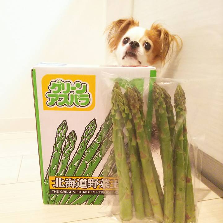 C79f3912 93db 488c 9cb9 2f9bf2219b5b 1526722077771