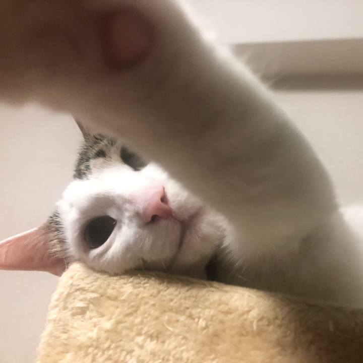 C79f758d daa7 4f5c b8df 784e25761205 1555118582473