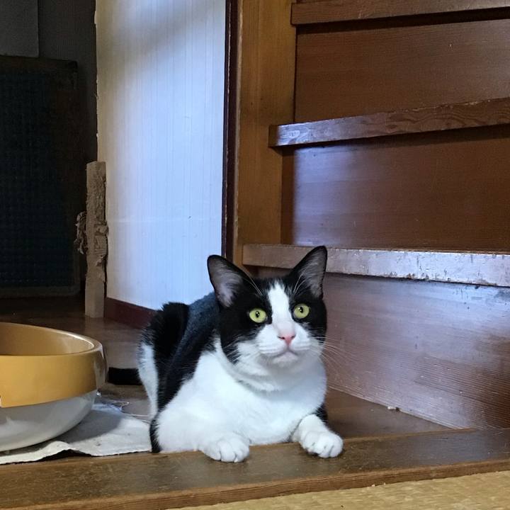 C79ff24c 4cfd 4b84 bb8a 55e5a8eddb2f 1693571045128