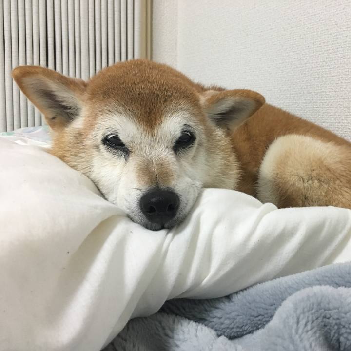 C7a003ae 0b9a 4757 8cb4 58f26e49c8a5 1508152610369