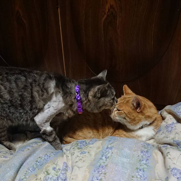 C7a009d0 4a65 4182 a700 f3ad60f7ffc7 1588334938037