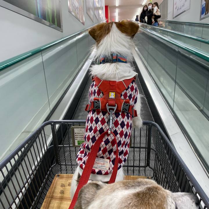 C7a03152 9edb 4b6e 909e a1dbf2c322c5 1672651586814