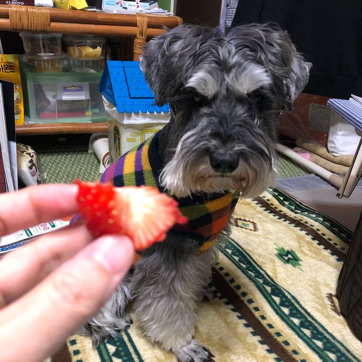 C7a064c1 1a46 4de7 a96c 959e7ce96531 1615207799739