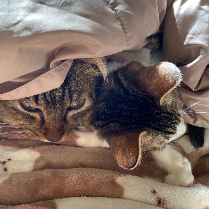 C7a09b83 db6d 4327 af27 295c9b70e139 1707037199171