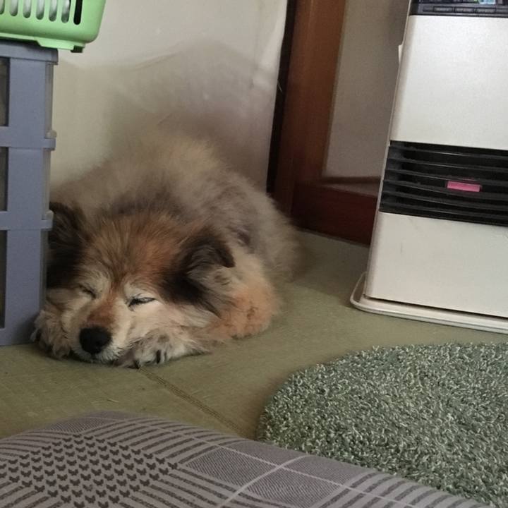 C7a0ad6d 687a 4c60 b156 0cfcb2081258 1578819580807