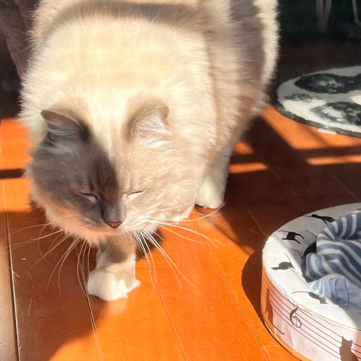 C7a0b483 b77a 4cb8 896e c69048241e2c 1667704958710