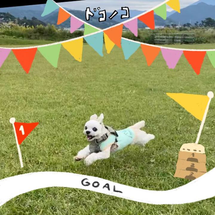 C7a0d5d0 4ba1 4fbc b85c d5e35d25fbc3 1729226820556