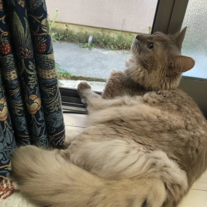 C7a0f909 d670 45fc 97b9 a89e5dc97bbc 1658703179571