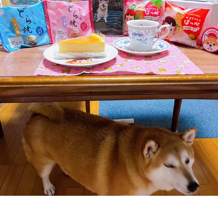 C7a0fe7e 8d3f 4cf2 a7c6 512db9b3fb06 1695900734290