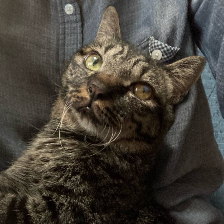 C7a13b6b e6f4 4a20 84b9 4dd8d30395ee 1633436419345