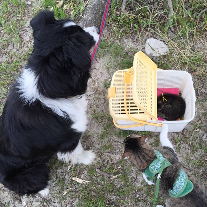 C7a15a14 9e01 4915 9183 2e193f99b3d2 1524460321694