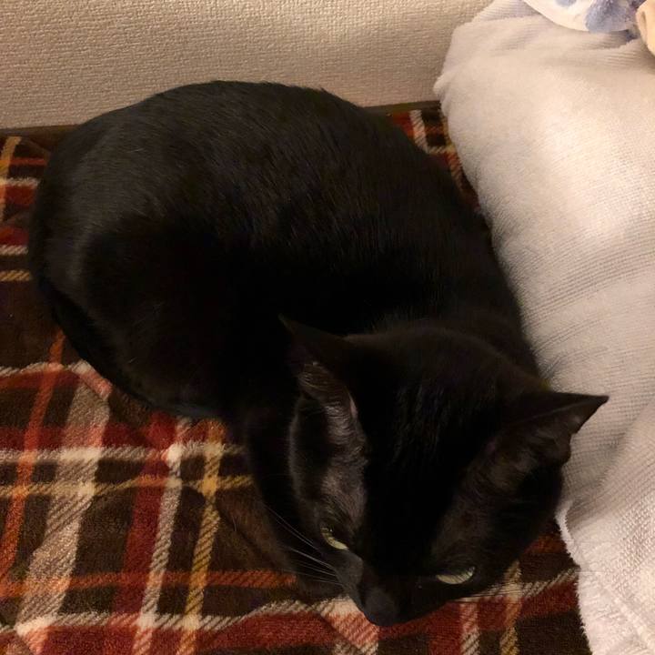 C7a160d5 0e57 4507 a588 40ce622d3e9b 1520167285911