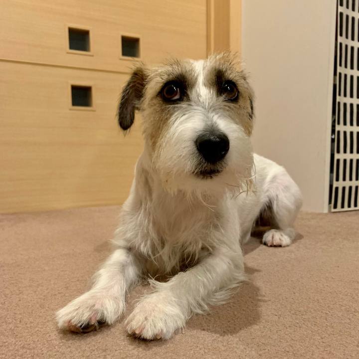 C7a17083 958c 484c a69b cbb5247b0372 1662127897087