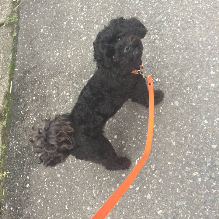 C7a1842e 73d3 4632 83a0 2e8c93fd40ed 1528939170838