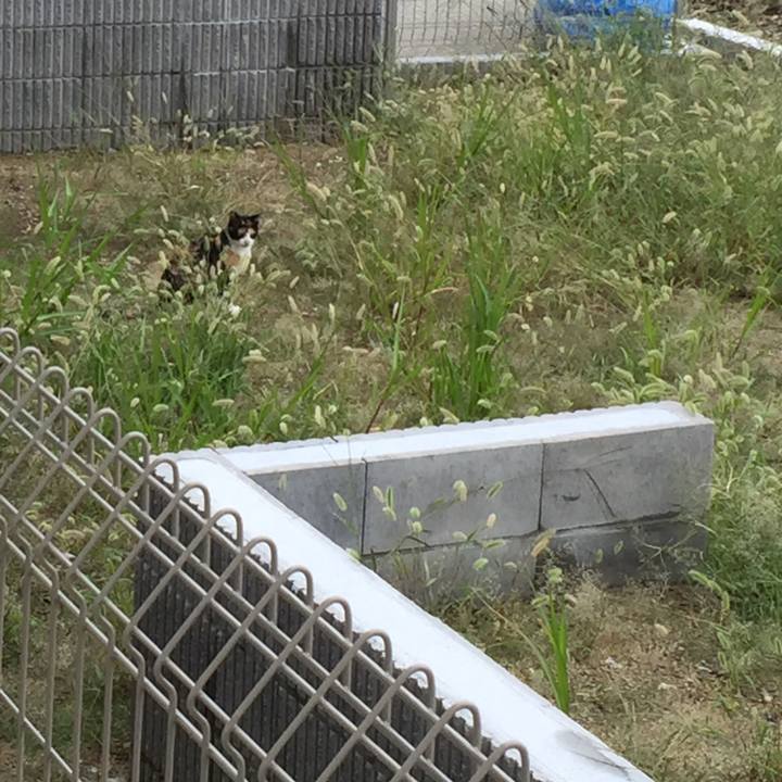 C7a1bc48 9719 499e a54d 8b7c8e02a485 1538274957278