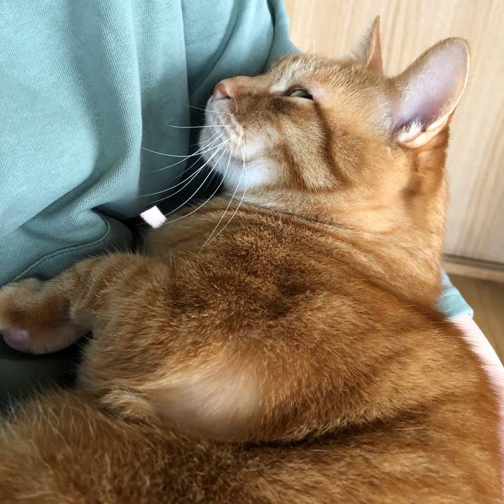 C7a1c2ed 9285 4646 9c1c 5de889ee18e4 1650576536860