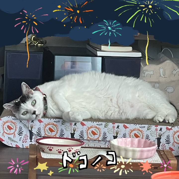 C7a1ce61 587c 4491 a14d 17795f6d14a4 1723348805428