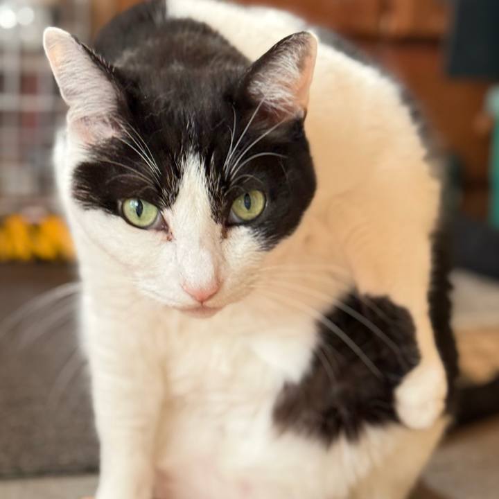 C7a1ff0e 09bc 4da8 88fa 4f42b6563cbc 1768353992708