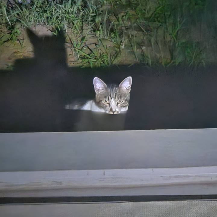 C7a22969 e899 4ac9 b3cd 3b55cca882f8 1720233526438