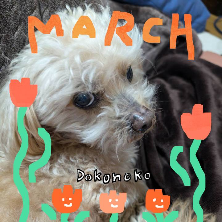 C7a22d6e ec31 486e a928 cb209dcf4185 1741552958738