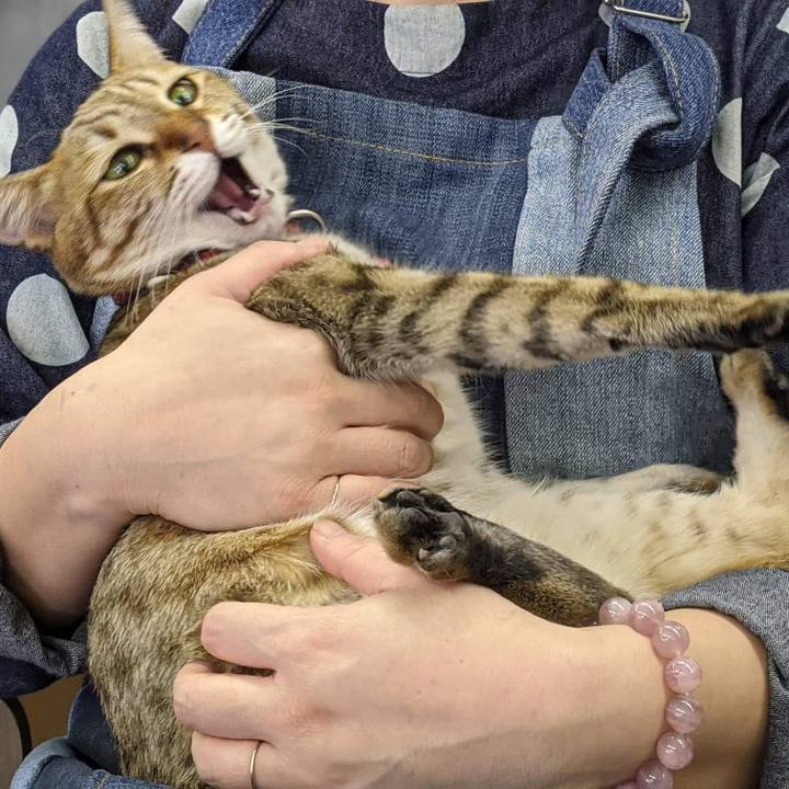 C7a2511c d223 444e 80f7 2c912070d227 1615971888933