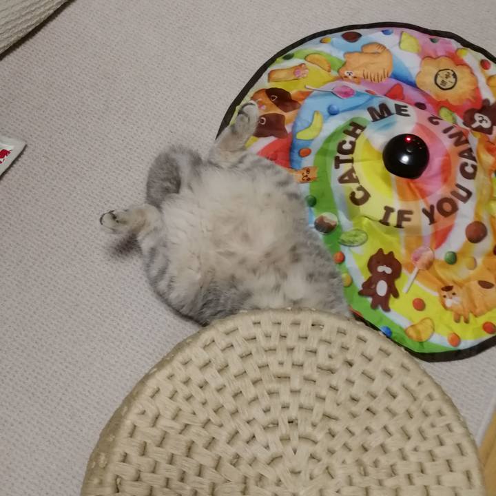 C7a2c989 f98b 495c 97bc 099344baa460 1537537527429