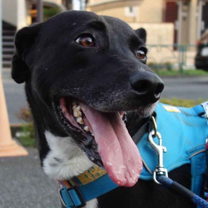 C7a30567 564c 485c a167 d0d643d5ee53 1624615350777